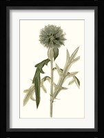 Soft Blue Botanicals VI Framed Print