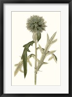 Soft Blue Botanicals VI Framed Print