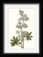 Soft Blue Botanicals VIII Framed Print