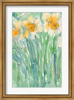 Daffodils Stems I Fine Art Print