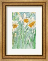 Daffodils Stems II Fine Art Print