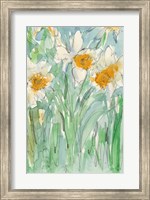 Daffodils Stems II Fine Art Print