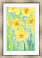 Daffodils I Fine Art Print