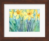 Daffodil Blooms I Fine Art Print