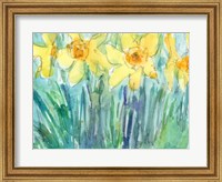 Daffodil Blooms I Fine Art Print