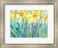 Daffodil Blooms I Fine Art Print