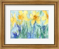 Daffodil Blooms II Fine Art Print