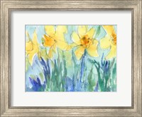 Daffodil Blooms II Fine Art Print