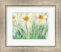 Daffodils Orange and White I Fine Art Print