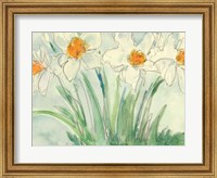 Daffodils Orange and White II Fine Art Print