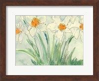 Daffodils Orange and White II Fine Art Print