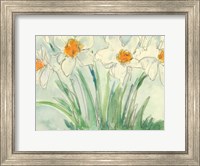 Daffodils Orange and White II Fine Art Print