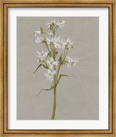 White Field Flowers I Fine Art Print