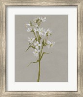 White Field Flowers I Fine Art Print
