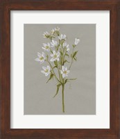 White Field Flowers II Fine Art Print