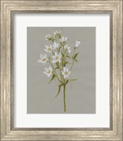 White Field Flowers II Fine Art Print