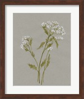 White Field Flowers III Fine Art Print