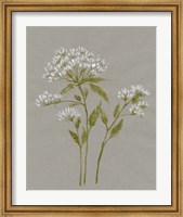 White Field Flowers IV Fine Art Print