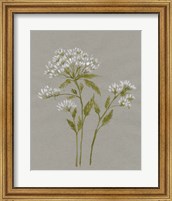 White Field Flowers IV Fine Art Print