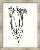 Naive Flower Sketch I Fine Art Print