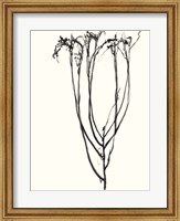 Naive Flower Sketch II Fine Art Print