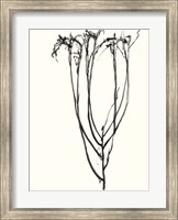 Naive Flower Sketch II Fine Art Print