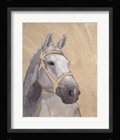 Thoroughbred VI Framed Print