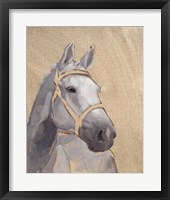 Thoroughbred VI Framed Print