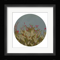 Winterberry Bush I Framed Print