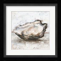 Oyster Study I Framed Print