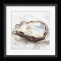 Oyster Study II Fine Art Print