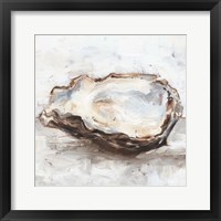 Oyster Study II Framed Print