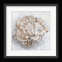Coral Display III Framed Print