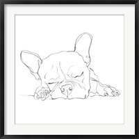 French Bulldog Contour I Fine Art Print