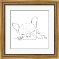French Bulldog Contour I Fine Art Print
