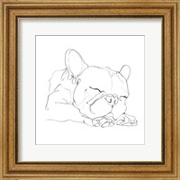 French Bulldog Contour II Fine Art Print