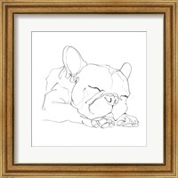 French Bulldog Contour II Fine Art Print