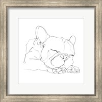 French Bulldog Contour II Fine Art Print