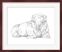 Bison Contour Sketch I Fine Art Print