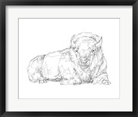 Bison Contour Sketch I Framed Print