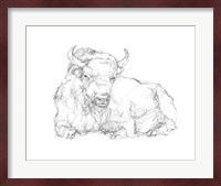 Bison Contour Sketch II Fine Art Print