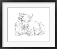 Bison Contour Sketch II Framed Print