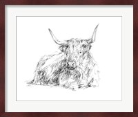 Highland Cattle Sketch I Fine Art Print
