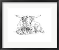 Highland Cattle Sketch II Framed Print