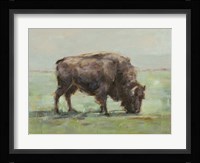 Where the Buffalo Roam I Fine Art Print