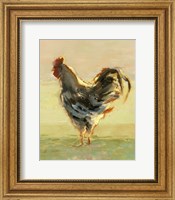 Sunlit Rooster II Fine Art Print