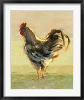 Sunlit Rooster II Fine Art Print