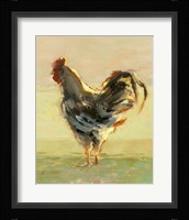 Sunlit Rooster II Framed Print