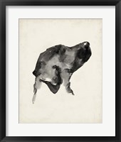 Puppy Profile I Framed Print