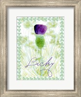 Lucky Shamrock I Fine Art Print